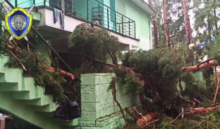 В результате урагана в Речицком районе погиб ребенок, еще шестеро детей пострадали
