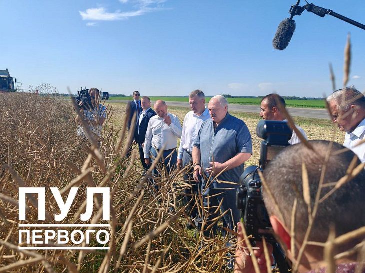 На поле под Минском заметили Лукашенко