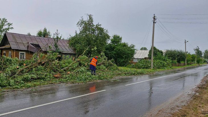 Последствия урагана в Брестской области: повреждены почти 300 строений