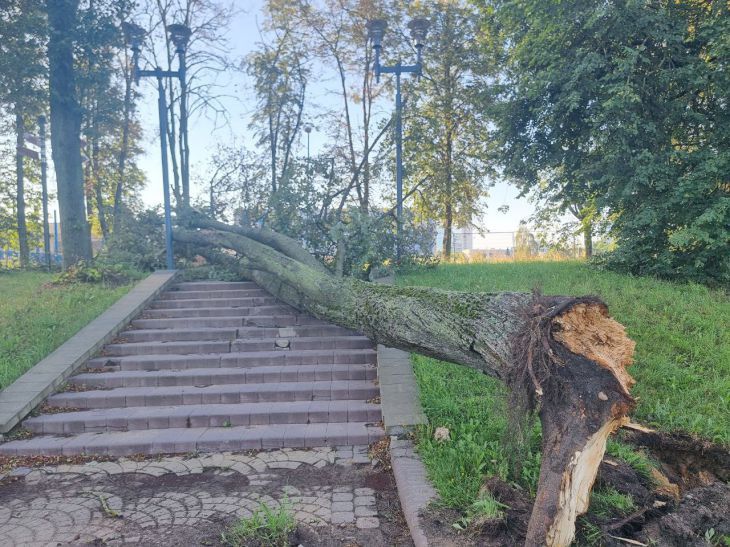 Стало известно, когда в Минске устранят последствия урагана