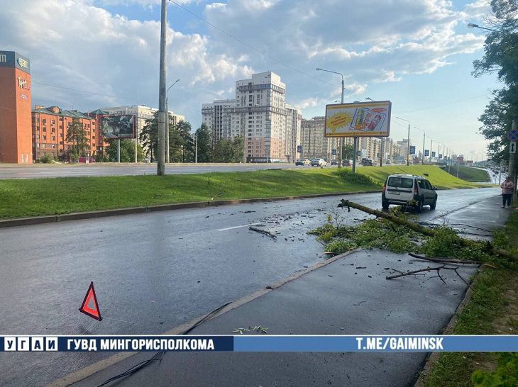 В Минске дерево упало на проезжавший автомобиль – на съезде с пр. Независимости