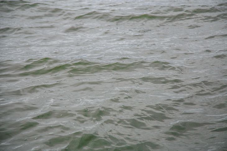 В Мядельском районе в искусственном водоеме утонул двухлетний мальчик