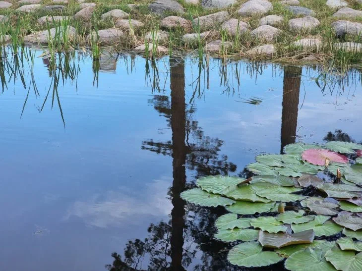 Водоем