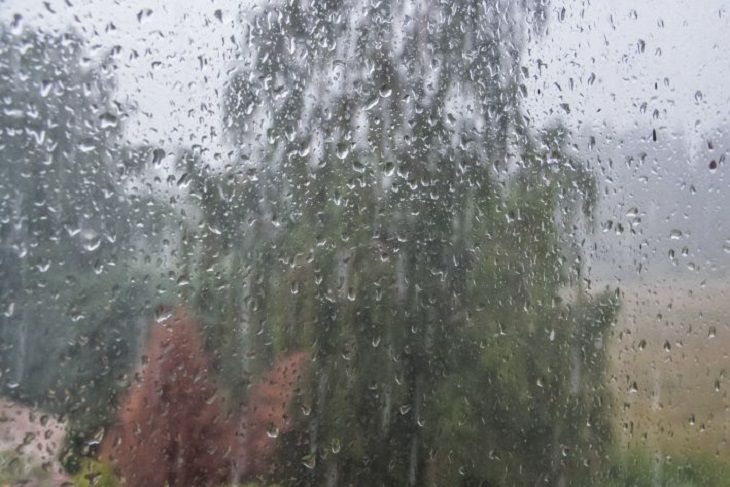 Белорусов предупредили: в понедельник дожди с грозами ударят
