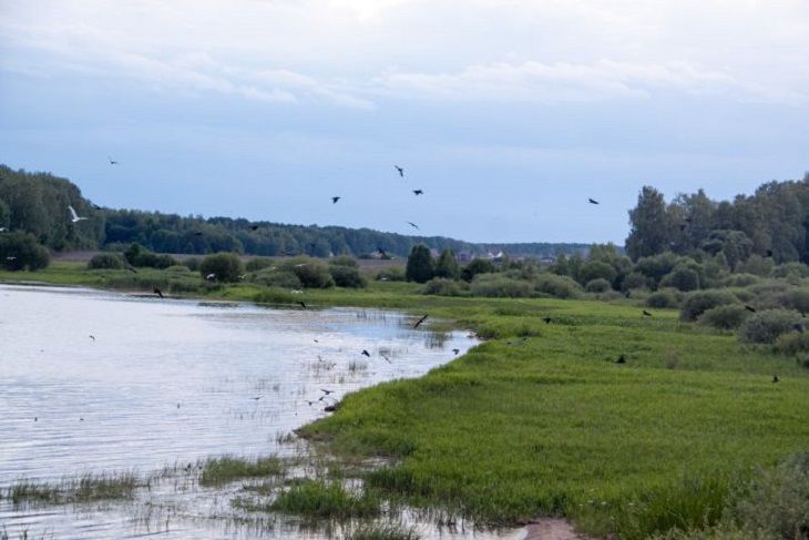 водоем