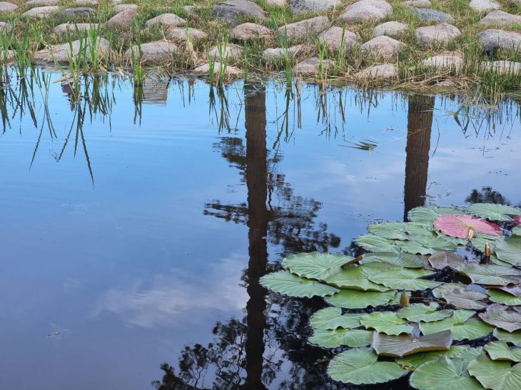 водоем