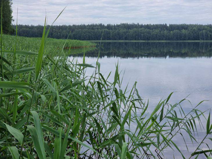 водоем