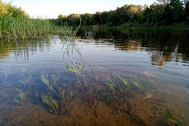 водоем