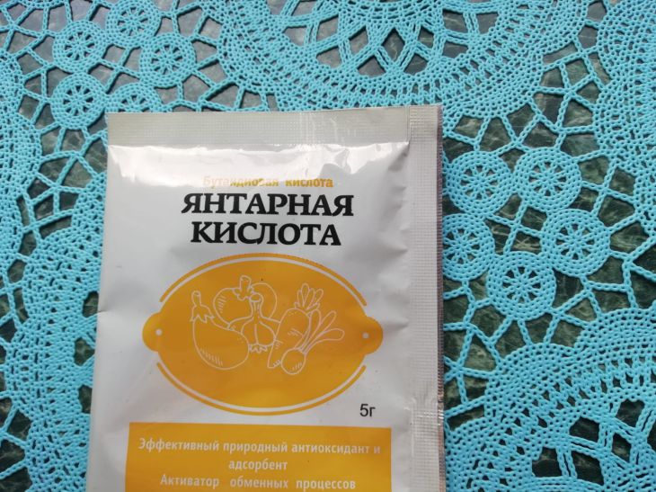 Янтарная кислота