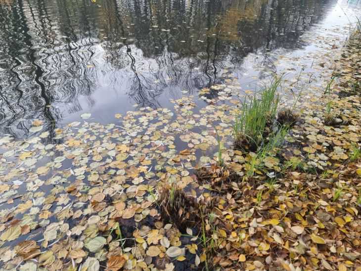 водоем