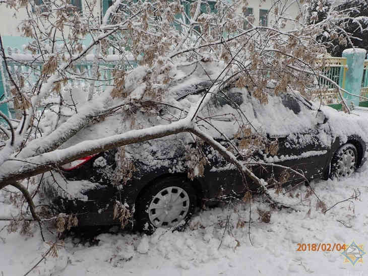 Тополь упал на машину