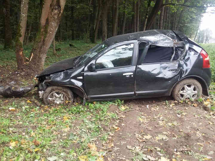 На трассе Минск — Дзержинск Renault вылетел в кювет и врезался в дерево: пострадали два человека