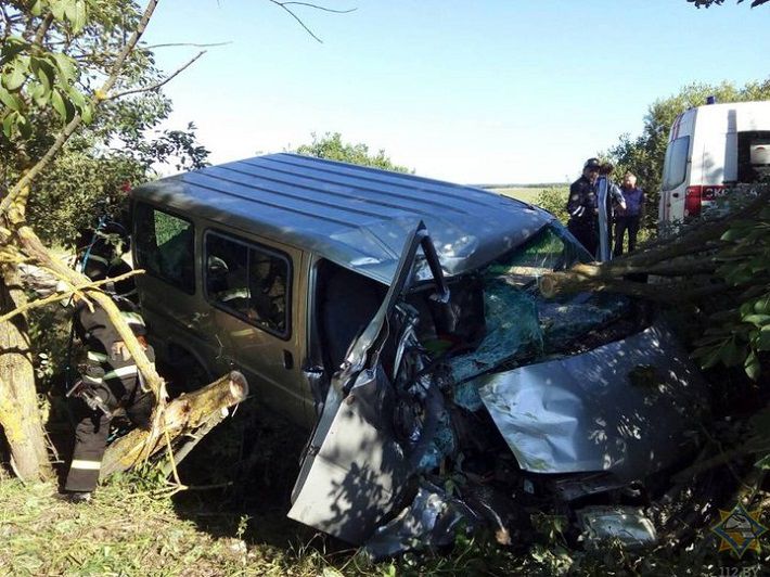 В Докшицком районе Ford врезался в дерево: пострадала девочка‍