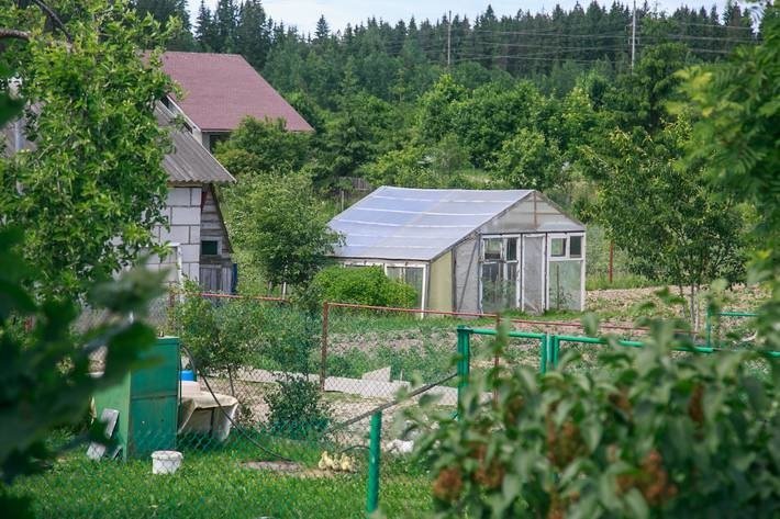 Купить обои в светлогорске гомельской области