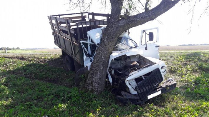 ДТП под Гродно: грузовик слетел с дороги и врезался в дерево