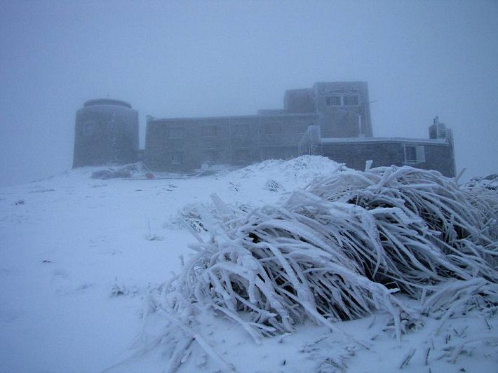 В Украине выпал снег и ударили морозы