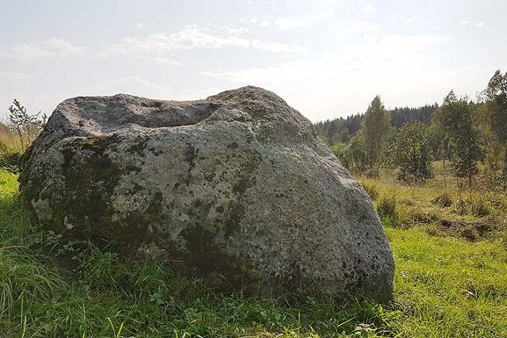 Декоративные камни - новый декор для вашего сада