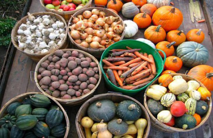 Как хранить урожай овощей и фруктов