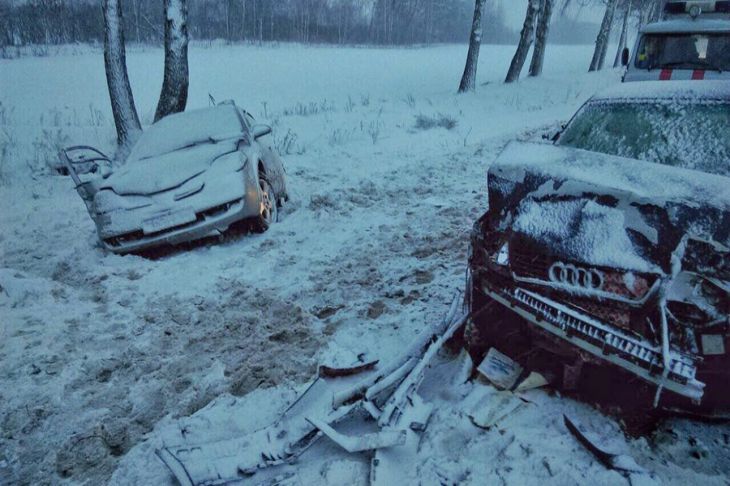 В Рогачевском районе в лобовом ДТП погибли 3 человека