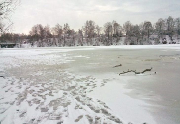 Фото быхова могилевской области