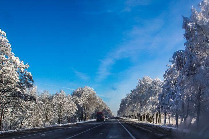 Прогноз на 3 января 2019 года: мокрый снег и слабая метель