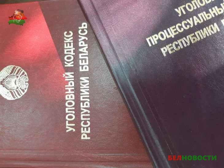 Гражданин Великобритании осужден в Бресте к 1,5 года колонии за содействие нелегальной миграции