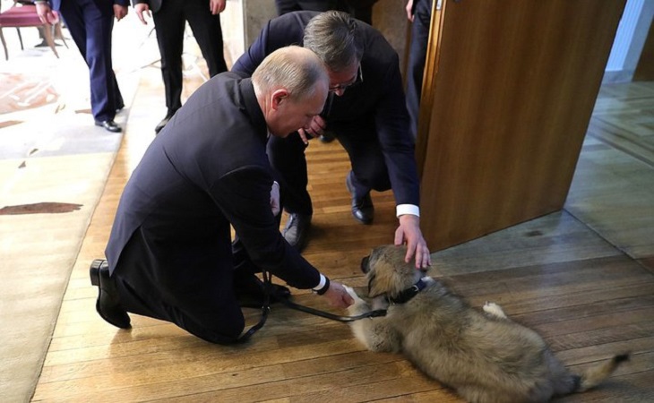 Президент Сербии подарил Владимиру Путину щенка 
