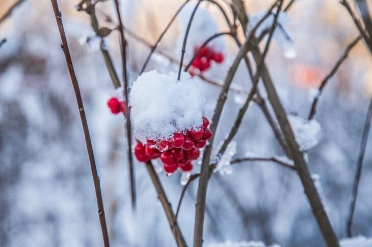 Какой сегодня праздник: 30 января 2019 года