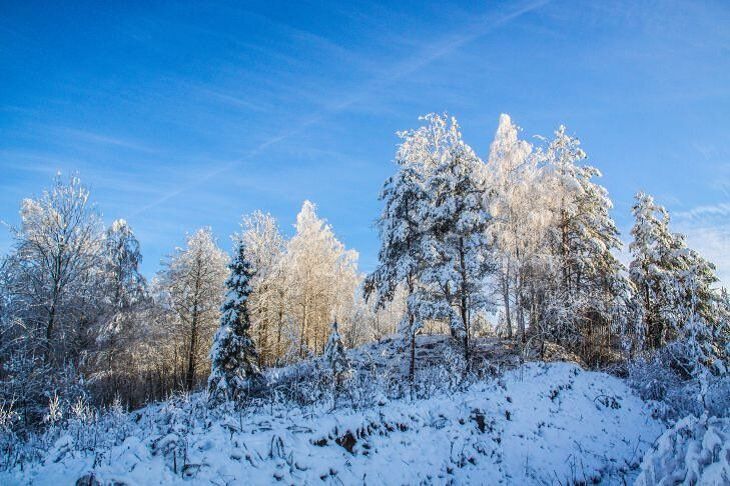 Прогноз погоды по Беларуси на 9 февраля 2019 года