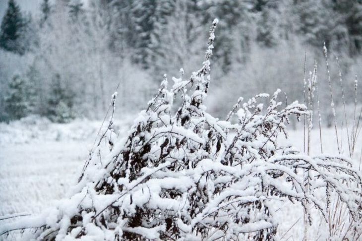 Прогноз погоды на 12 февраля 2019 года