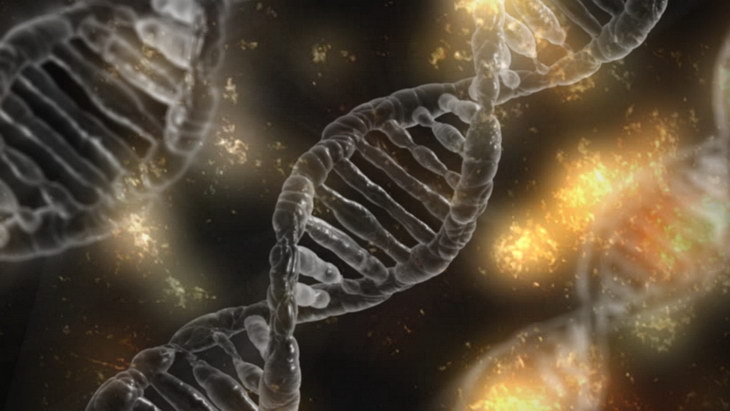 Ученые обнаружили неизвестных предков человека по геному