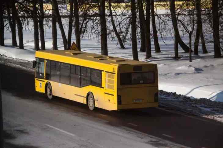 Пенсионерка в Молодечно решила сэкономить на проезде: теперь ей грозит до двух лет