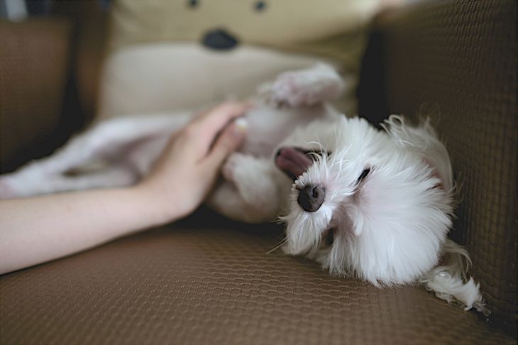 10 вещей, которые помогут улучшить свою жизнь