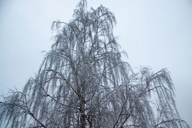 Прогноз по Беларуси на 13 марта 2019 года