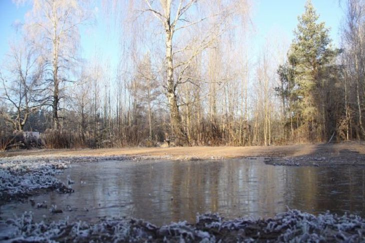 Погода в Гродно и Гродненской области на день 12 марта 2019 года