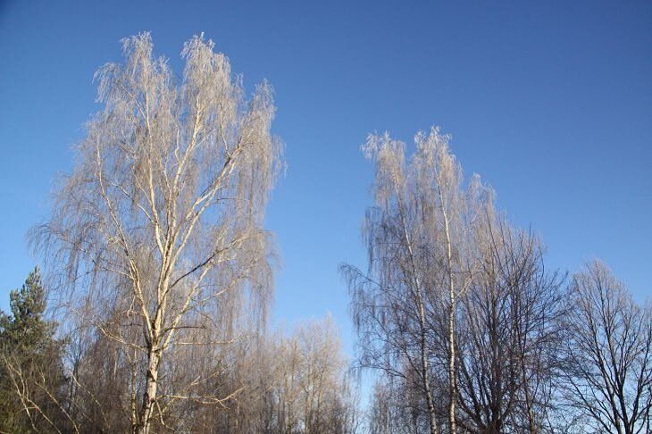 Погода в Гродно и Гродненской области на 14 марта 2019 года