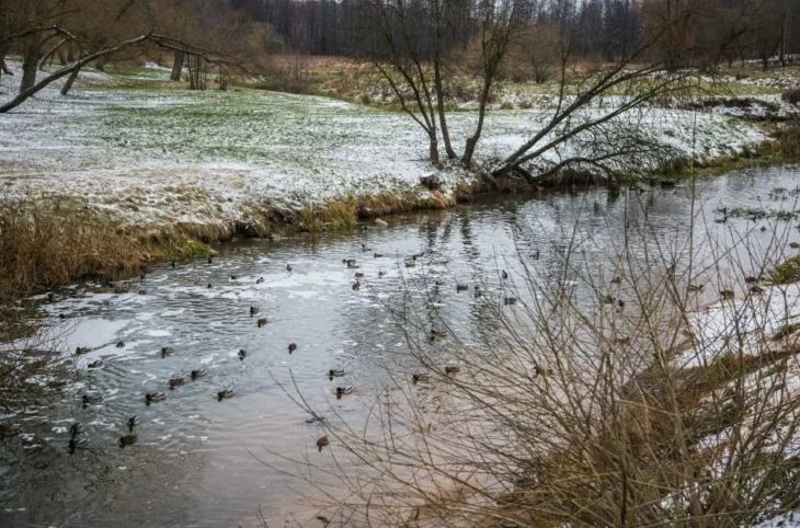 Погода в Гомеле и области на 14 марта 2019 года