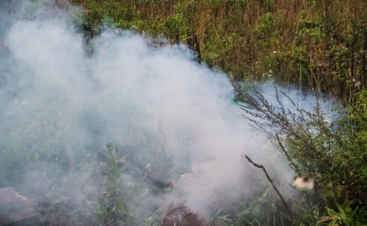 В Смолевичском районе из-за сжигания сухого мусора загорелся гараж