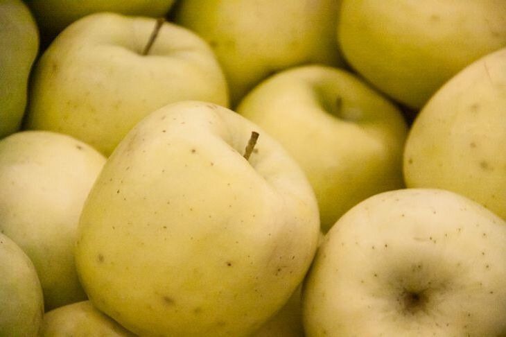 Россельхознадзор полностью запретил ввоз яблок и груш из Беларуси
