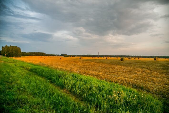 На Витебщине аграриев будут финансово оздоровлять 