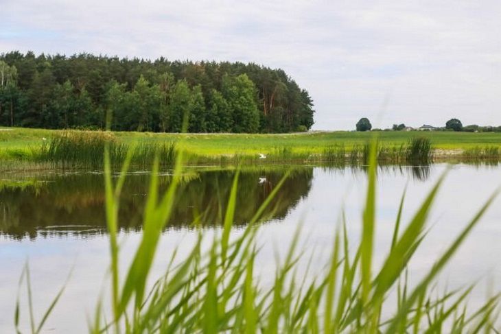 В реке Друть найден труп мужчины. Он пробыл в воде более года