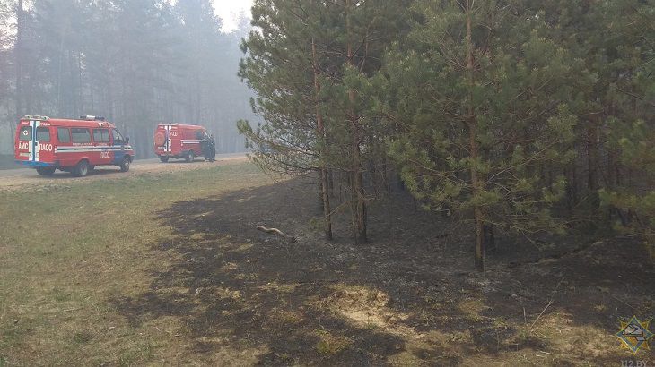 Лесной пожар под Гродно: со стихией сражаются около 200 человек 