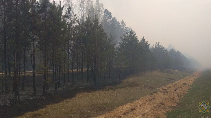 Лесной пожар под Гродно: со стихией сражаются около 200 человек 