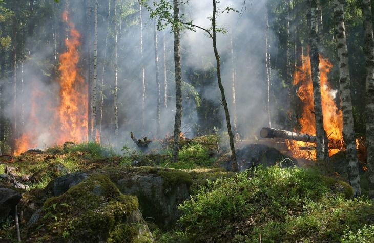 Фото пожара дома в деревне