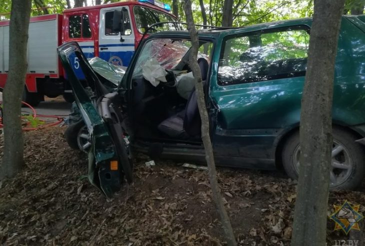 Два автомобиля врезались в деревья в Брестской области