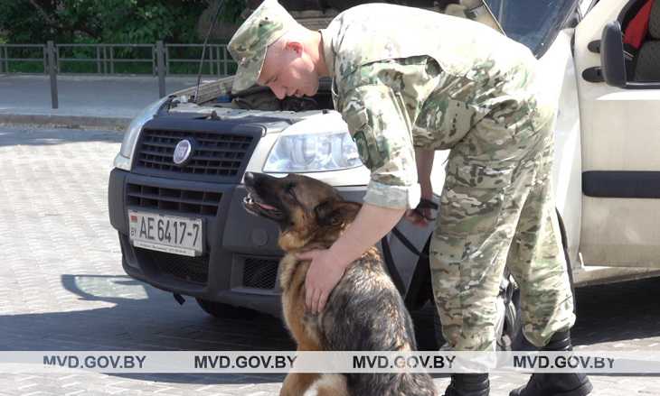 Возле минского стадиона «Динамо» дежурят кинологи с собаками: что происходит