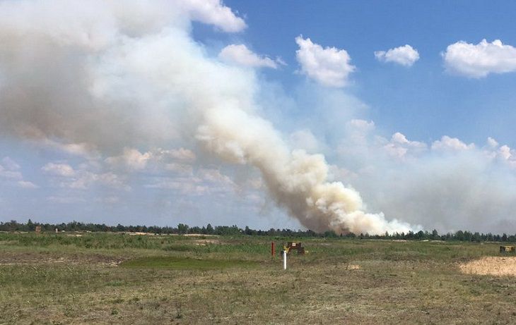 Масштабный лесной пожар под Гродно потушен