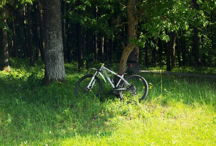 Уже 72. Где еще нельзя ходить в лес в Беларуси