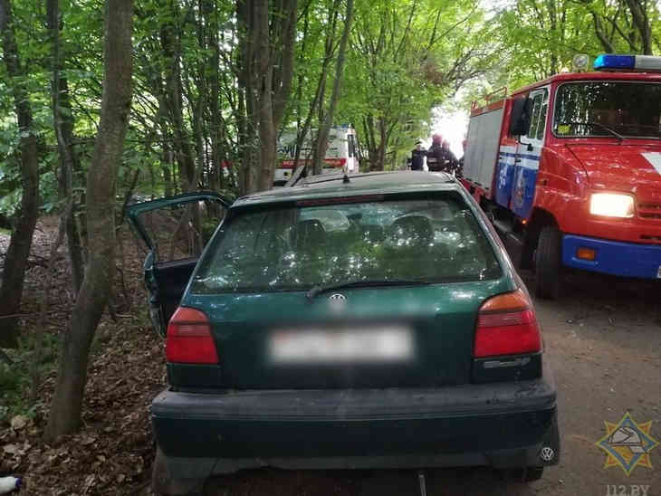 Два автомобиля врезались в деревья в Брестской области