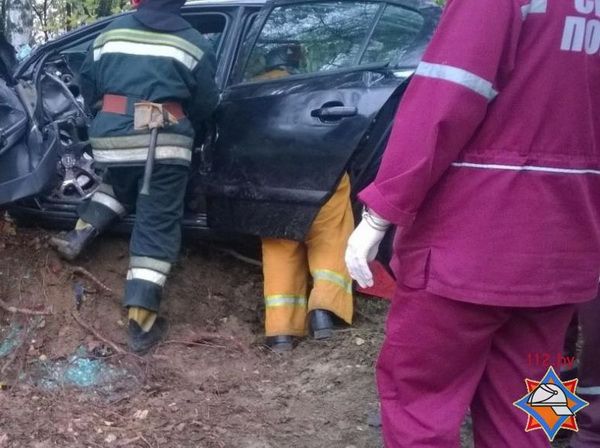 Opel врезался в дерево в Каменецком районе